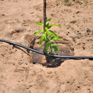 Drip Irrigation, Overhead Irrigation & Micro Jet irrigation - BNOP ...